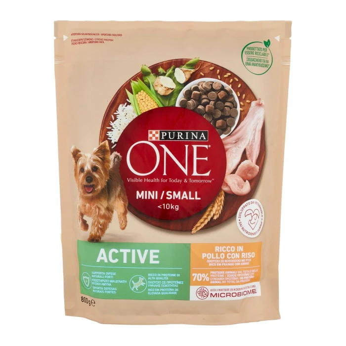 PURINA ONE Mini/Small Active Pollo con Riso 800 g